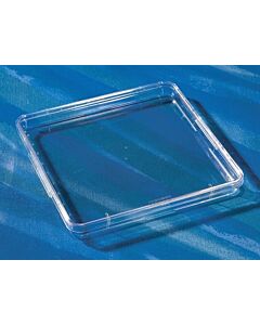 Corning Untreated 245mm Square BioAssay Dishes, Dimensions: 245 x