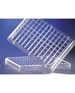 Corning HTS Transwell 96-Well, Non-Treated, Flat-Bottom Microplate; 07200279; 3383