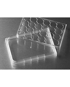 Corning Costar HTS Transwell Cell Culture Plate, Polystyrene, Sterile; 07200399; 4395