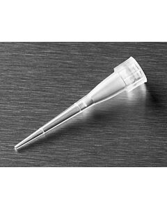 Corning Filtered IsoTip Universal Fit Racked Pipet Tips, Volume: