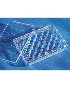 Corning Costar Flat Bottom Cell Culture Plates, Capacity: 3.5mL,