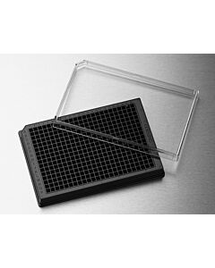 Corning 384-Well, Cell Culture-Treated, Flat-Bottom Microplate; 07200852; 3571