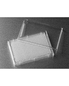 Corning 384-Well Clear Polystyrene Microplates, Bottom: Flat, For