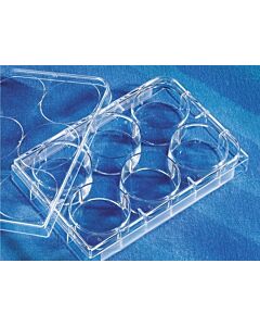 Corning Costar Clear Multiple Well Plates, Culture Area: 9.5 cm2; 07201588; 3736
