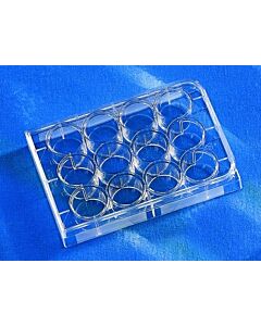Corning Costar Clear Multiple Well Plates, Culture Area: 3.8 cm2; 07201589; 3737