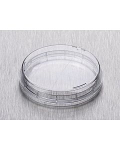 Corning Round-Bottom Petri Dish, Vent: No, Diameter: 65 mm, Polystyrene,
