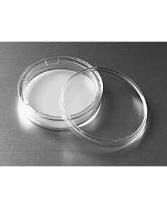 Corning Transwell with Polycarbonate Membrane Insert, Diameter: Membrane: