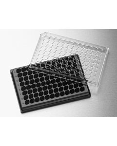 Corning Costar HTS Transwell -96 Well Receiver Plates, Black, Bottom: