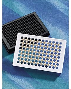 Corning 96-Well, Poly-D Lysine-Treated, Flat-Bottom Microplate, Bottom: