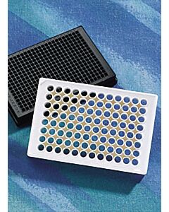 Corning 384-Well, Poly-D Lysine-Treated, Flat-Bottom Microplate,