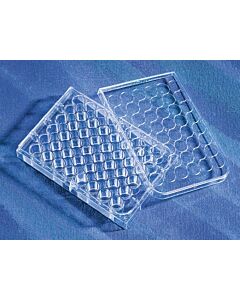 Corning CellBIND Surface Microplates, Culture Area: 0.95 cm2, Volume; 13700435; 3338