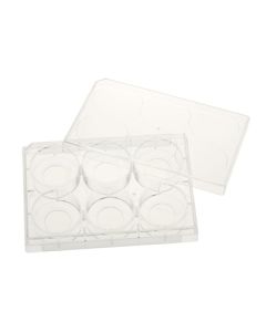 Celltreat Tissue Culture Plate Polystyrene/Glass Bottom