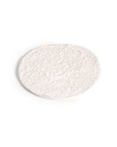Restek Cellulose Filters For Ase 200 Pack Of 100 Replaces Dionex
