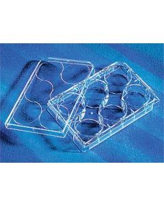 Corning CellBIND® 6-well Clear Multiple Well Plates Flat Bottom