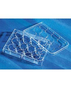 Corning CellBIND® 12-well Clear Multiple Well Plates Flat Bottom