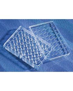 Corning CellBIND® 48-well Multiple Well Plates Flat Bottom Clear