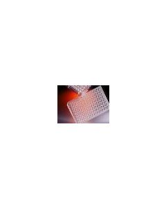 Corning HTS Transwell®-96 Permeable Support with 50 µm Pore Polycarbonate