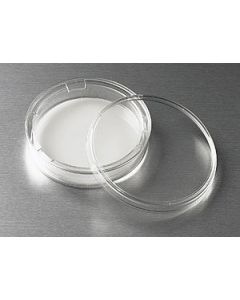 Corning 75 mm Transwell® with 30 µm Pore Polycarbonate Membrane