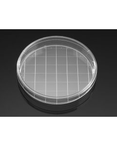 Corning Falcon 150mm X 25mm Style Cell Culture Dish With 20mm Grid Molded In Base