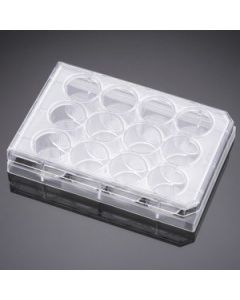 Corning Falcon 12 Well Clear Flat Bottom, Tissue Culture-Treated Multiwell Cell Culture Plate