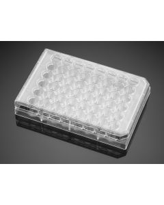 Corning Falcon 48 Well Clear Flat Bottom, Tissue Culture-Treated Cell Culture Plate With Lid