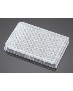 Corning Falcon 96 Well Clear V-Bottom Not Treated Polypropylene Microplate, 25pack, 100case