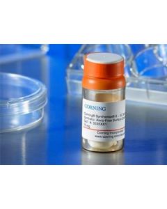 Corning Synthemax® II-SC Substrate 10 mg Vial
