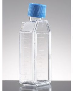 Corning Falcon Primaria 25 Sq Cm Rectangular Canted Neck Cell Culture Flask With Vented Cap