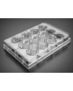 Corning Falcon Primaria 6 Well Cell Clear Flat Bottom Surface-Modified Multiwell Culture Plate