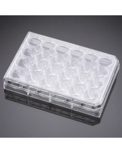 Corning Falcon Primaria 24 Well Flat Bottom Surface Modified Multiwell Cell Culture Plate, With Lid