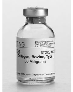 Corning Collagen I, Bovine, 30mg