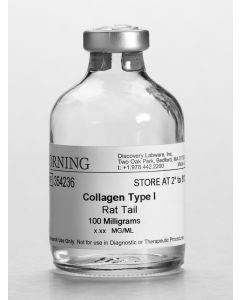 Corning Collagen I, Rat Tail, 100mg