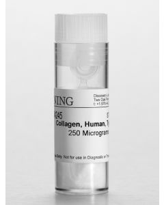 Corning Collagen IV, Human, 0.25mg