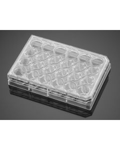 Corning BioCoat Poly-D-Lysine 24 Well Clear Flat Bottom TC-Treated Multiwell Plate, with Lid, 5/Case