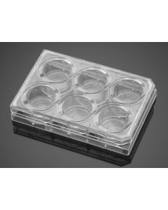 Corning BioCoat Collagen IV 6 Well Clear Flat Bottom TC-Treated Multiwell Plate, with Lid, 5/Case