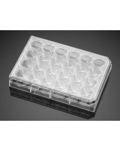 Corning BioCoat Collagen IV 24 Well Clear Flat Bottom TC-Treated Multiwell Plate, with Lid, 5/Case