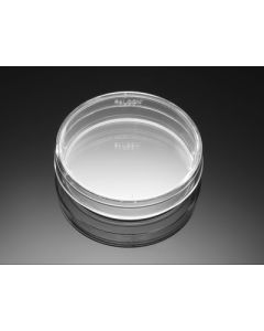 Corning BioCoat Laminin 100mm TC-Treated Culture Dishes, 5/Pack, 10/Case, Nonsterile
