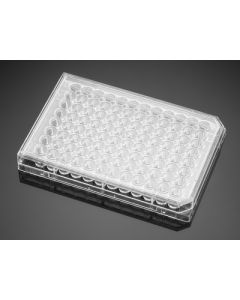 Corning BioCoat Collagen I 48 Well Clear Flat Bottom TC-Treated Multiwell Plate with Lid, 5/Case