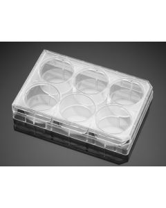 Corning BioCoat Poly-L-Lysine 6 Well Clear Flat Bottom TC-Treated Multiwell Plate, with Lid, 5/Case