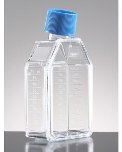 Corning BioCoat Poly-D-Lysine 25cm² Rectangular Canted Neck Cell Culture Flask with Vented Cap