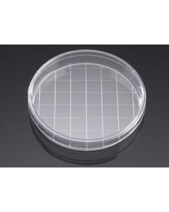 Corning BioCoat Poly-D-Lysine 150mm TC-Treated Gridded Culture Dishes, 5/Pack, 5/Case, Nonsterile