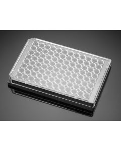 Corning BioCoat Poly-D-Lysine 96 Well Black/Clear Flat Bottom TC-Treated Assay Plate, with Lid, 5/Case