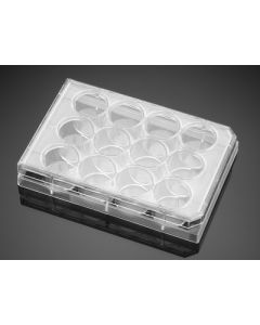 Corning BioCoat Poly-D-Lysine 12 Well Clear Flat Bottom TC-Treated Multiwell Plate, with Lid, 5/Pack, 50/Case