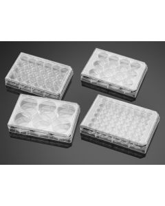 Corning BioCoat Poly-D-Lysine 48 Well Clear Flat Bottom TC-Treated Multiwell Plate, with Lid, 5/Pack, 50/Case