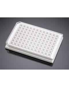 Corning BioCoat Poly-D-Lysine 96 Well White/Clear Flat Bottom Microplate, 20/Pack, 80/Case