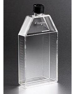 Corning 150cm² U-Shaped Canted Neck Cell Culture Flask with Phenolic-Style