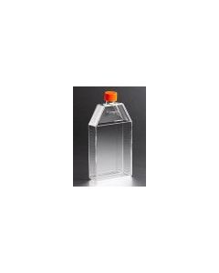 Corning 150cm² U-Shaped Canted Neck Cell Culture Flask with Vent