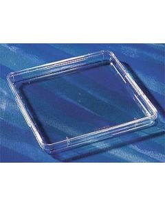 Corning 245 mm Square BioAssay Dish without Handles not TC-treated