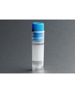 Corning 2 mL Blue Cap Internal Threaded Polypropylene Cryogenic Vial