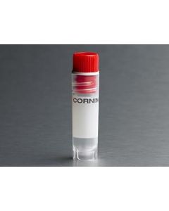 Corning 2 mL Red Cap Internal Threaded Polypropylene Cryogenic Vial